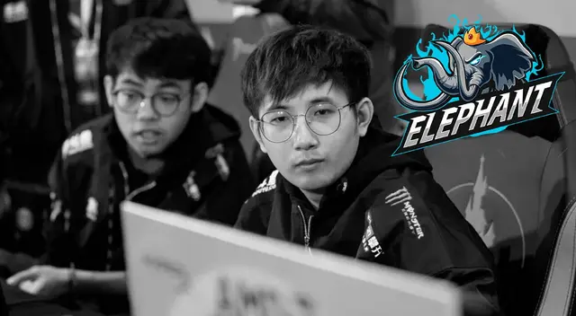 Elephant es un equipo conformado por ex integrantes de PSG.LGD, Vici Gaming y RNG Elephant es un equipo conformado por ex integrantes de PSG.LGD, Vici Gaming y RNG