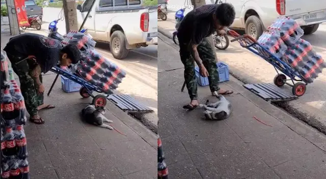Un joven se solidarizó con un gatito que se encontraba en la vereda Un joven se solidarizó con un gatito que se encontraba en la vereda