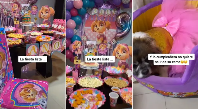 La cumpleañera no quiso salir de su cama pese a la fiesta que le preparó su dueña