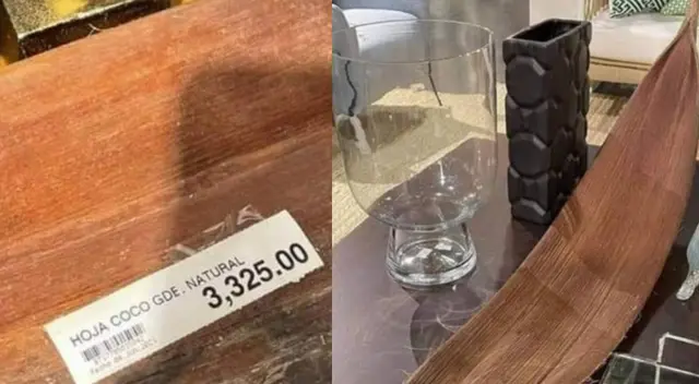 Hoja de palmera se hace viral por costar más de 3 mil pesos Hoja de palmera se hace viral por costar más de 3 mil pesos