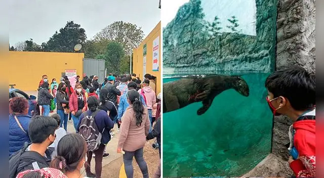 Aglomeraciones en el Parque de las Leyendas por motivo del día del niño - VIDEO