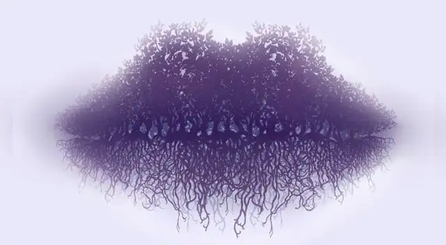 Test visual: Define tu personalidad según la primera imagen que veas Test visual: Define tu personalidad según la primera imagen que veas