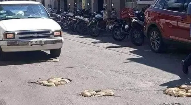 Ciudadanos tapan baches con cocos Ciudadanos tapan baches con cocos