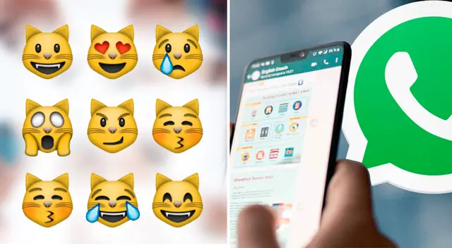 WhatsApp: ¿Por qué existen 9 emojis de gatos y cuál es su significado? WhatsApp: ¿Por qué existen 9 emojis de gatos y cuál es su significado?