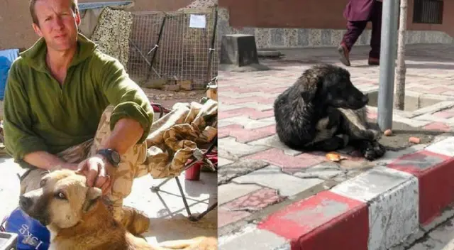 Hombre se niega a salir de Afganistán sin sus animales Hombre se niega a salir de Afganistán sin sus animales