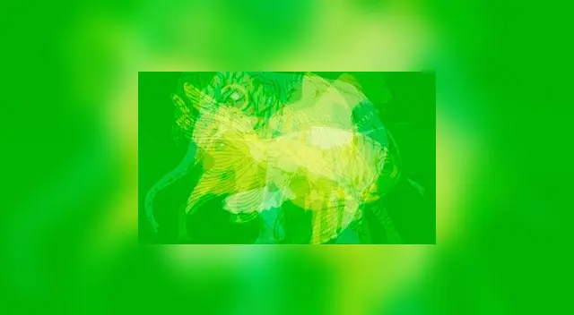 Test Visual: ¿Qué animal ves? Lo primero que veas revelará aspectos de tu personalidad Test Visual: ¿Qué animal ves? Lo primero que veas revelará aspectos de tu personalidad