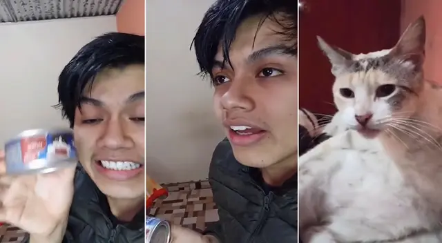 Hijo de la distraída mamita contó cómo fue la experiencia comer espaguetis con...¡comida para gatos! Hijo de la distraída mamita contó cómo fue la experiencia comer espaguetis con...¡comida para gatos!