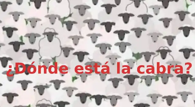 Reto visual, ubica la cabra en 10 segundos Reto visual, ubica la cabra en 10 segundos