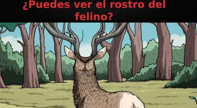 Reto visual: Encuentra al felino oculto en la imagen en el menor tiempo posible Reto visual: Encuentra al felino oculto en la imagen en el menor tiempo posible