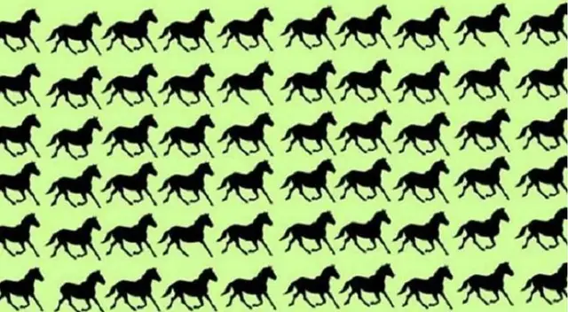 Intenta resolver este viral en cuestión de segundos Intenta resolver este viral en cuestión de segundos