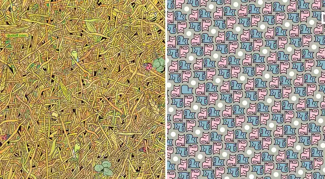 Doble reto visual: intenta encontrar las diferencias en menos de 20 de ...