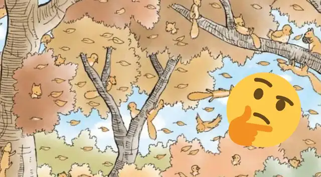 Reto visual: ¿Puedes hallar a las ardillas en menos de 15 segundos?