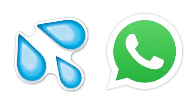 WhatsApp: conoce el verdadero significado del emoji de
