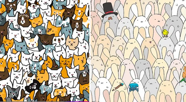 Doble reto visual: Encuentras el enigma de estas imágenes en menos de 15 segundos