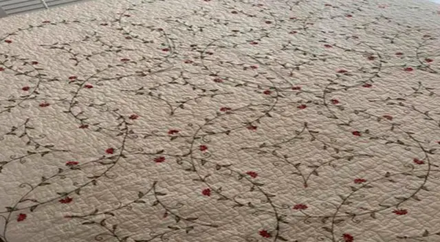 Observa bien y encuentra el gancho de ropa camuflado en la cama
