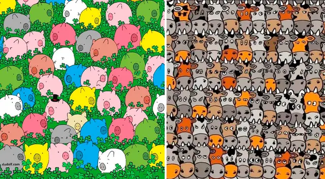 Reto visual doble: Resuelve el misterio es estas imágenes en tan solo 20 segundos