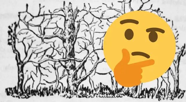Reto visual: encuentra todos los animales en la imagen