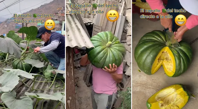 Mujer se vuelve viral por cosechar zapallo en su techo y ver el fruto luego de meses Mujer se vuelve viral por cosechar zapallo en su techo y ver el fruto luego de meses