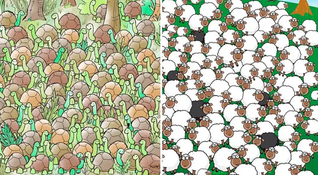 Reto visual doble: identifica la incógnita de estas ilustraciones en 20 segundos Reto visual doble: identifica la incógnita de estas ilustraciones en 20 segundos