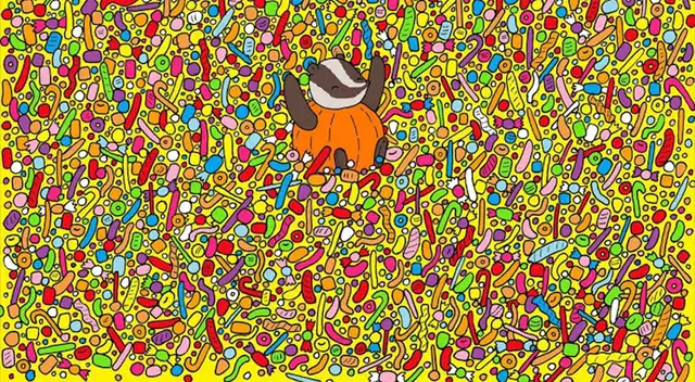 Encuentra el objeto escondido en la imagen.