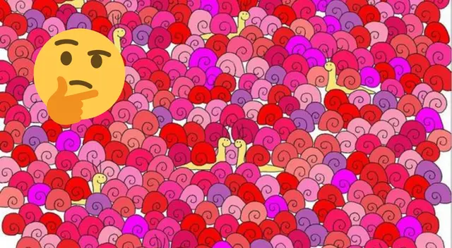 Reto Visual: Encuentra el corazón escondido entre los caracoles