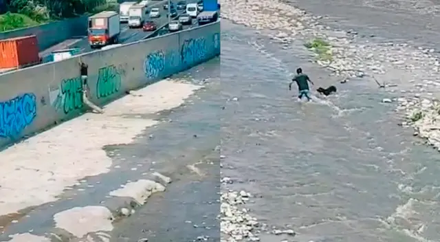TikTok: joven salvó a perrito de caer al río Rímac.