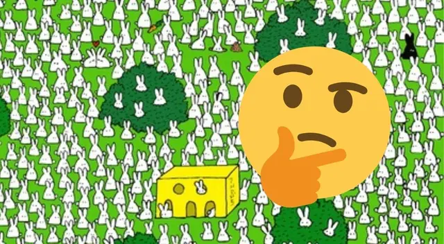 Reto visual: encuentra al fantasma entre los conejos en 20 segundos Reto visual: encuentra al fantasma entre los conejos en 20 segundos