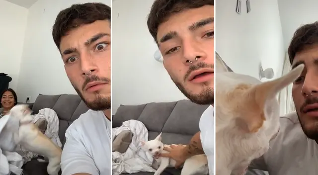 Hombre pensó que su perrita se calmaría con sus palabras pero ocurrió lo impensado Hombre pensó que su perrita se calmaría con sus palabras pero ocurrió lo impensado