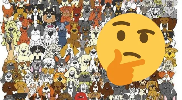 Reto visual: encuentra al panda escondido entre los perros Reto visual: encuentra al panda escondido entre los perros