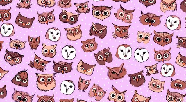 Reto visual: Encuentra a la mariposa entre los búhos en menos de 20 segundos