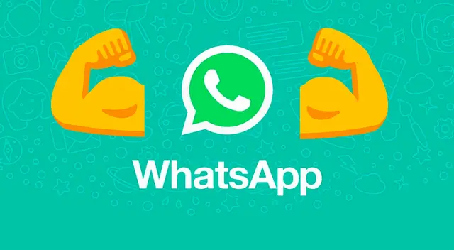WhatsApp volvió para alegría de sus usuarios. WhatsApp volvió para alegría de sus usuarios.