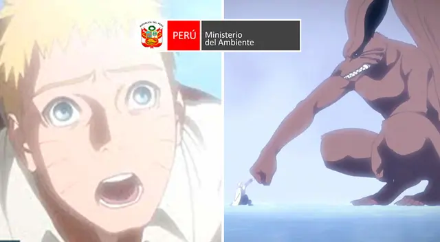 Ministerio del Perú plasma la muerte de Kurama para la preservación el zorro andino