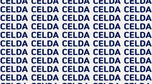 Identifica la palabra