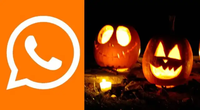 Reto visual: Encuentra a los lobos en medio de los perros siberianos