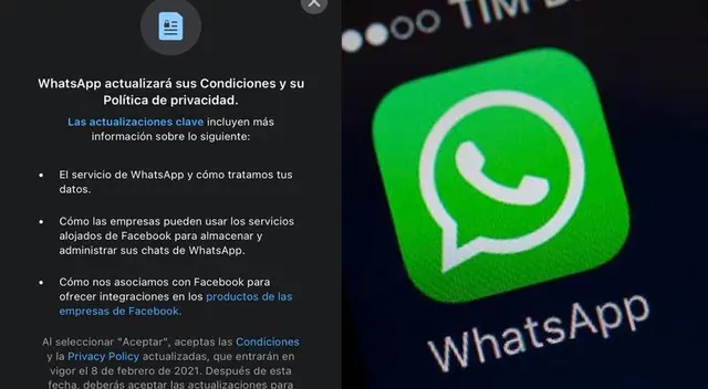 WhatsApp: por qué deberías aceptar las políticas antes del 6 de noviembre.