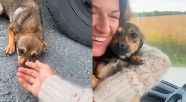 Video viral causa sensación en redes sociales. Video viral causa sensación en redes sociales.