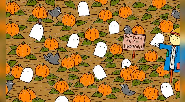 Reto Halloween: Encuentra las 7 diferencias entre las calabazas en tiempo récord Reto Halloween: Encuentra las 7 diferencias entre las calabazas en tiempo récord