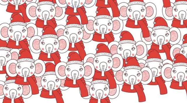 Encuentra al elefante distinto a los demás.