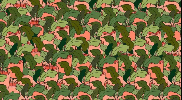 Reto visual: Localiza todos lo tréboles entre las plantas en 30 segundos