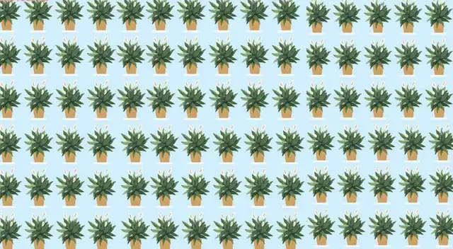¿Eres capaz de encontrar las 3 plantas diferentes? ¿Eres capaz de encontrar las 3 plantas diferentes?