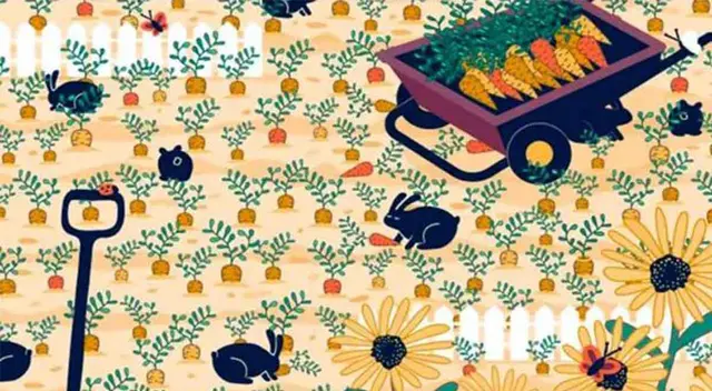 ¿Logras ver el anillo escondido en el jardín? ¿Logras ver el anillo escondido en el jardín?