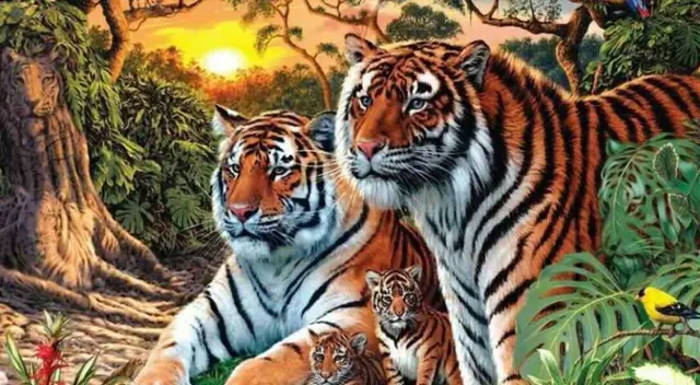Reto visual nivel Dios: ¿Cuántos tigres ves en esta imagen?