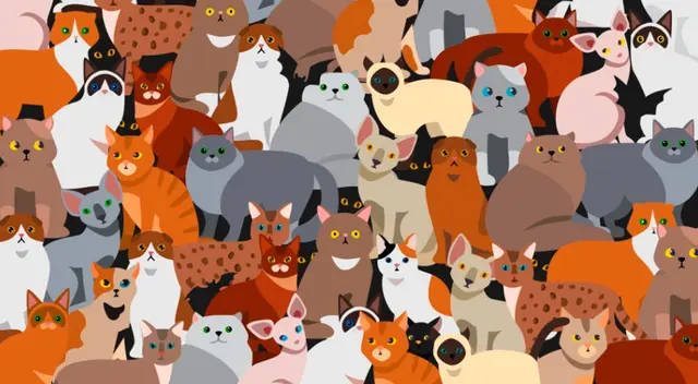 El reto visual del gato negro está generando dolores de cabeza. El reto visual del gato negro está generando dolores de cabeza.