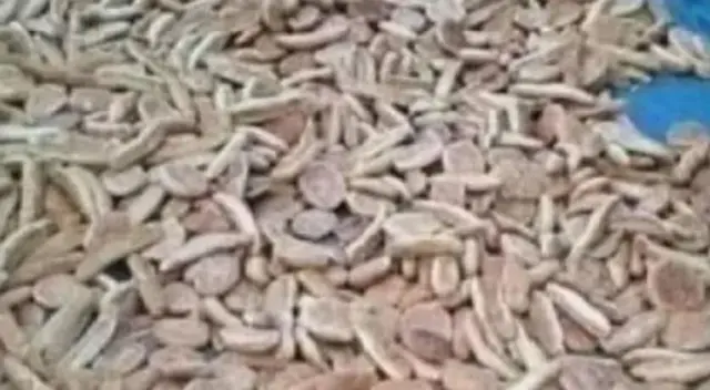 Reto visual: encuentra al gato escondido en la imagen en menos de 10 segundos Reto visual: encuentra al gato escondido en la imagen en menos de 10 segundos