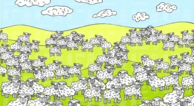 Reto visual, nivel experto: encuentra al perro oculto entre las ovejas Reto visual, nivel experto: encuentra al perro oculto entre las ovejas