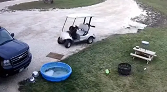 Tras chocar el carro de su dueña, el perrito huyó como si nada de la escena