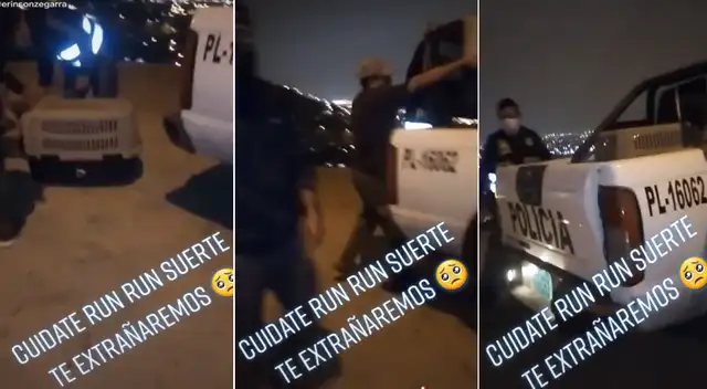 Usuario dedica emotivo canción a 'Run Run' tras ser capturado luego de varios días