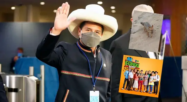 Urresti dice que regreso de AFHS y captura del zorro 'Run Run' son logros de Castillo Urresti dice que regreso de AFHS y captura del zorro 'Run Run' son logros de Castillo