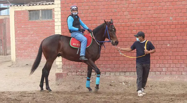 Todo listo para el Gran Derby Nacional 2021 Todo listo para el Gran Derby Nacional 2021