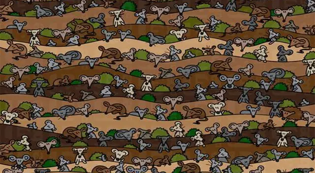 Encuentra al ratón diferente en menos de 10 segundos